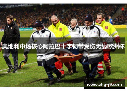 奥地利中场核心阿拉巴十字韧带受伤无缘欧洲杯 奥地利中场核心阿拉巴十字韧带受伤无缘欧洲杯